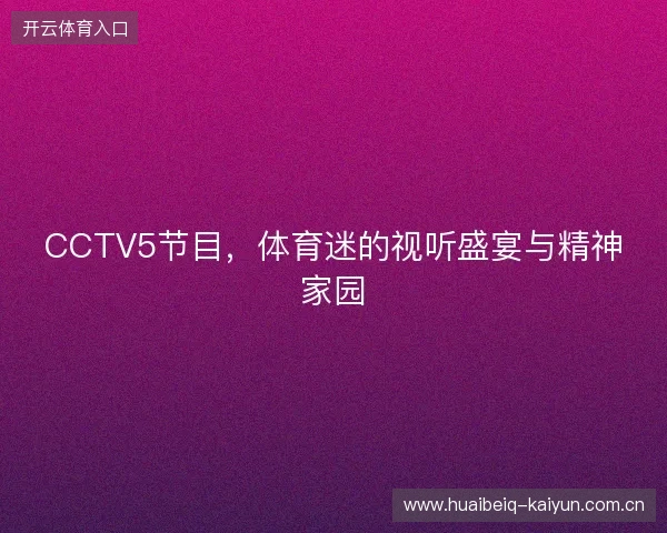 CCTV5节目，体育迷的视听盛宴与精神家园